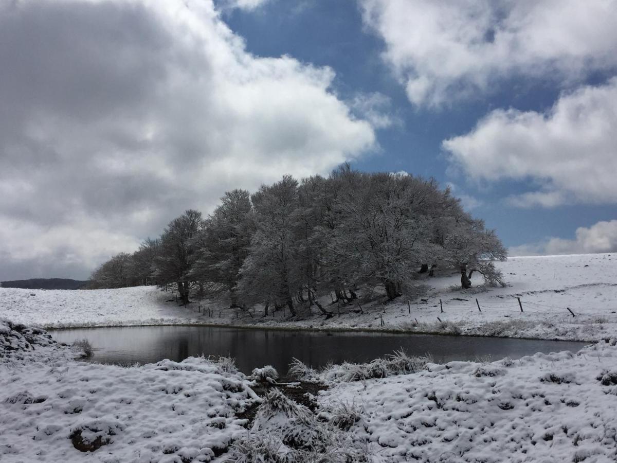 Hotel Comptoir D Aubrac Esterno foto